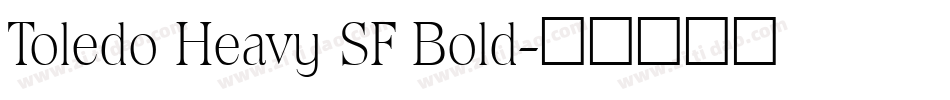 Toledo Heavy SF Bold字体转换